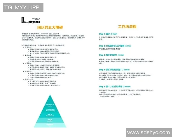 BLG团队协作的成功秘诀与英雄联盟战术分析探讨
