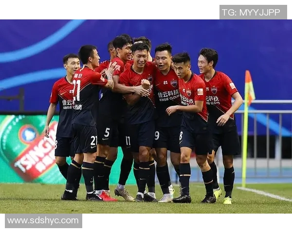 深圳篮球队团队协作引发热议球迷对战术配合产生不同看法