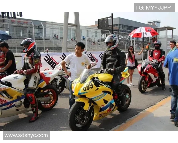 刘强谈篮球生涯：从热爱到坚持的心路历程回顾